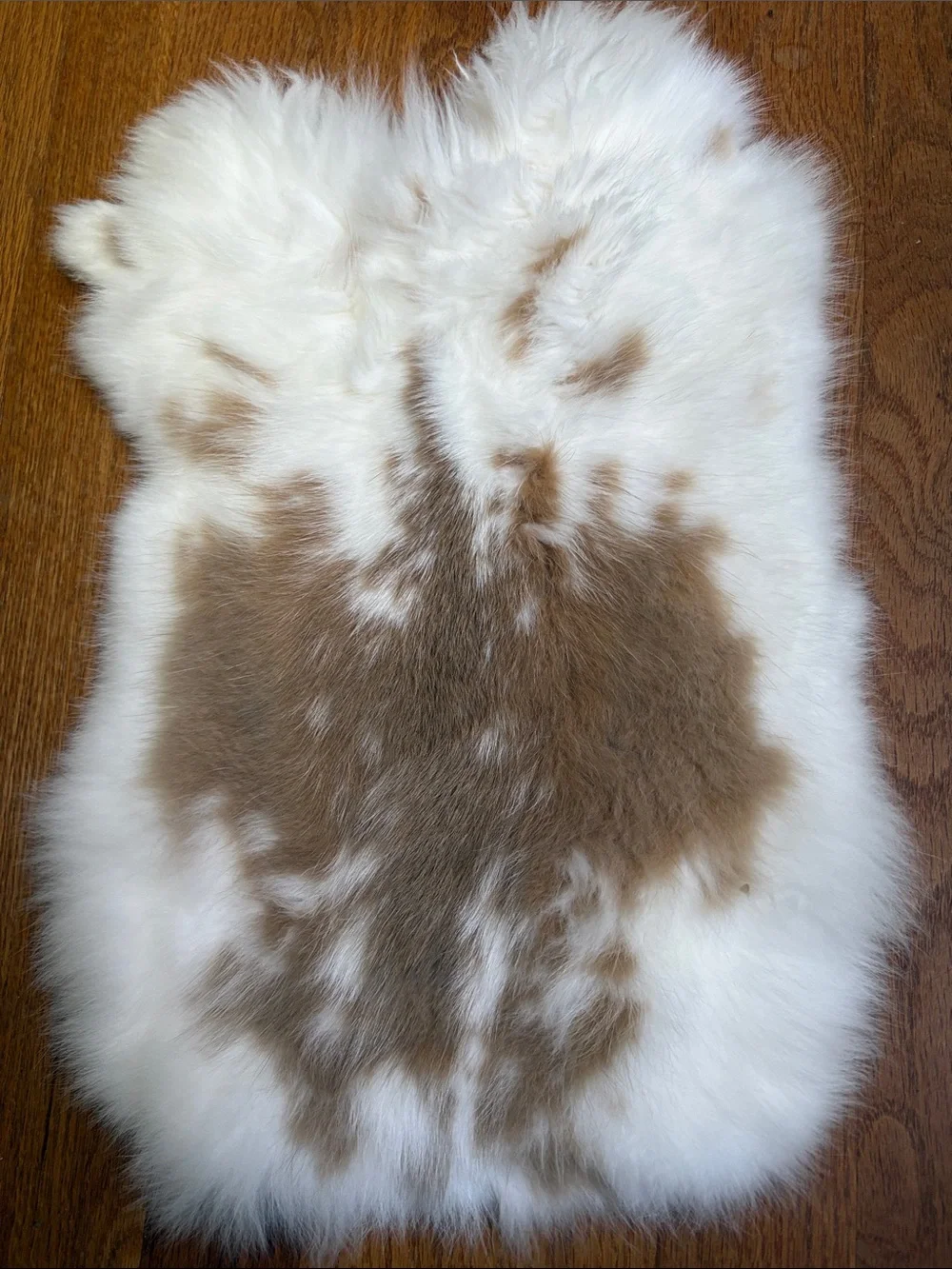 0057 Genuine Rabbit Fur Pelt – White & Natural Tan Brown